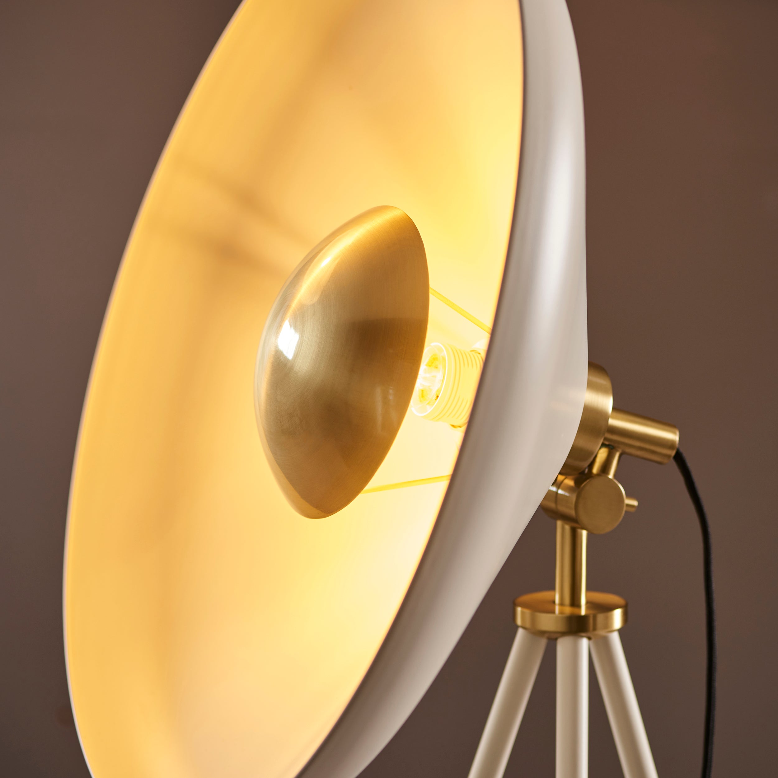 Lightologist Warm white & brushed brass plate Complete Floor Light