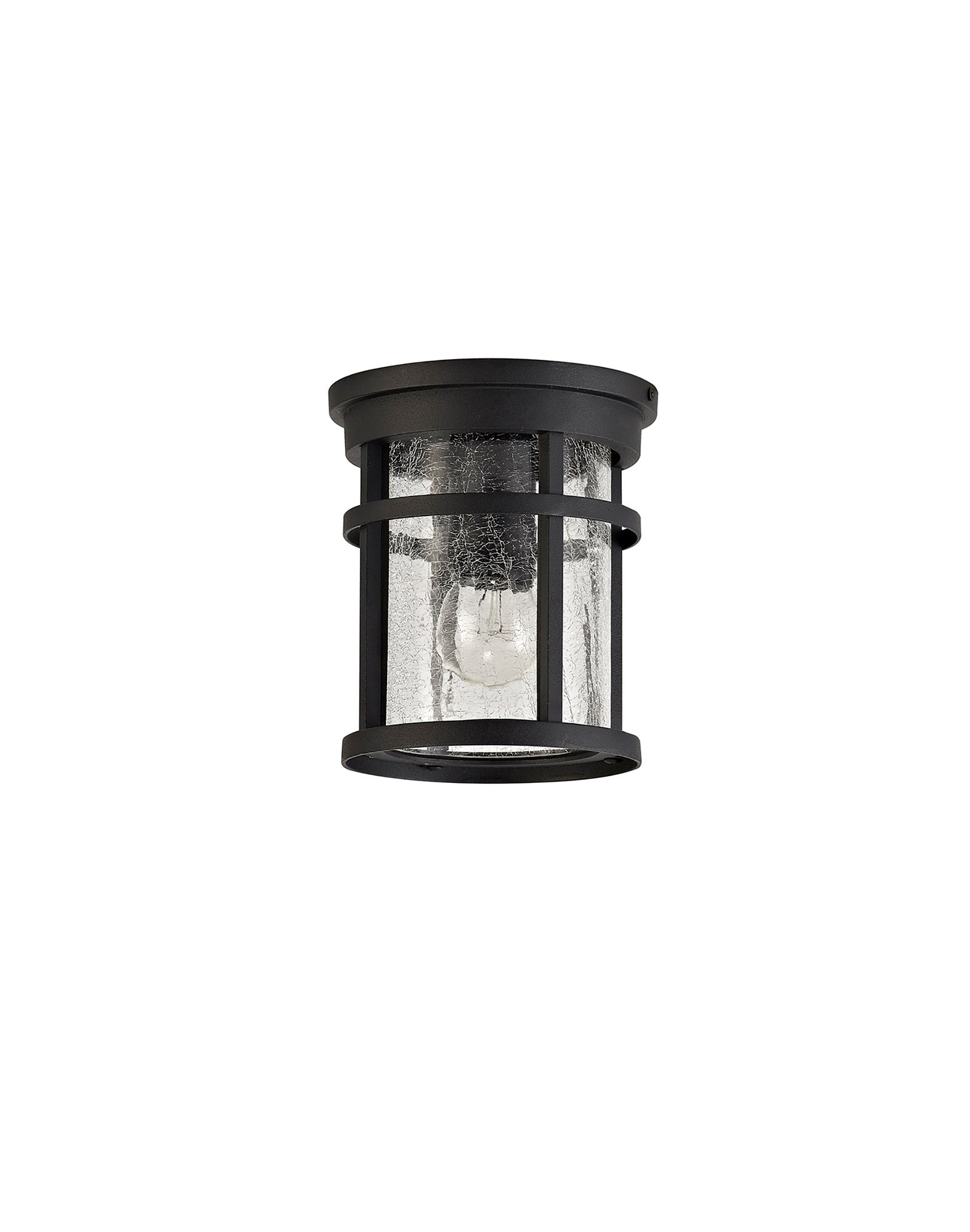 Elliot Outdoor Ceiling, 1 x E27, Black/Clear Crackled Glass, IP54, 2yrs Warranty LO173193