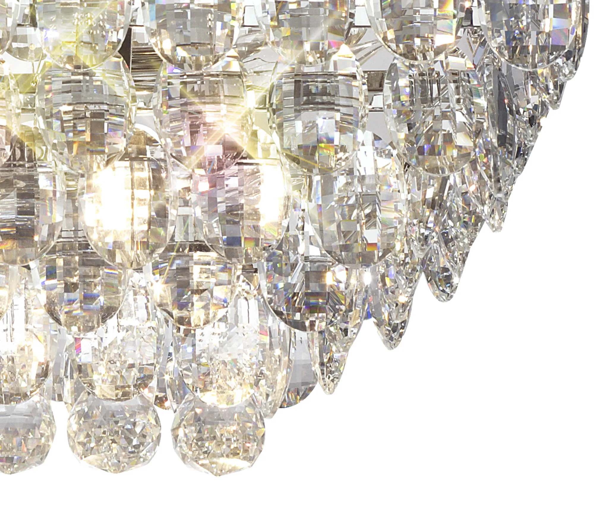 Conifer by Lightologist