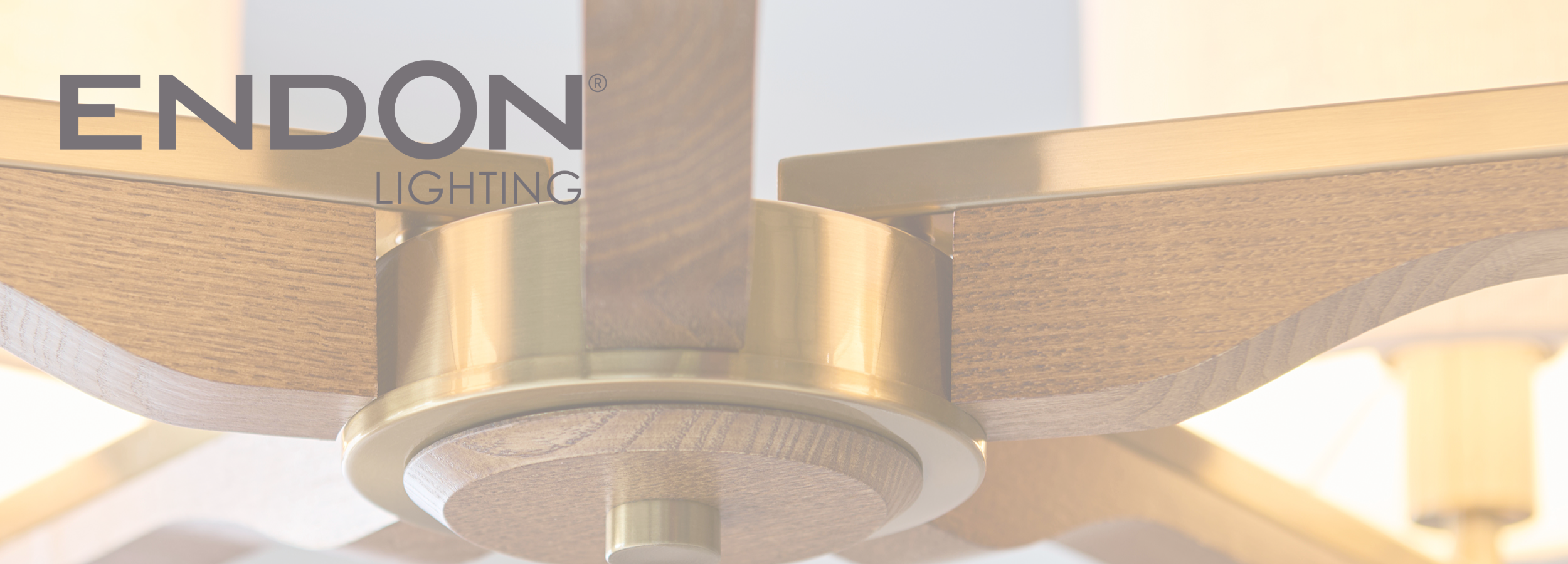 Ceiling lights