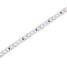 Saxby Lighting Orion20 48V | 4000K 7.2W/M 35M IP20 118823