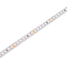 Saxby Lighting Orion20 48V | 3000K 18W/M 30M IP20 120338