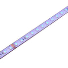 Saxby Lighting OrionRGBW 48V | 3000K 11.5W/M 30M IP67 120342