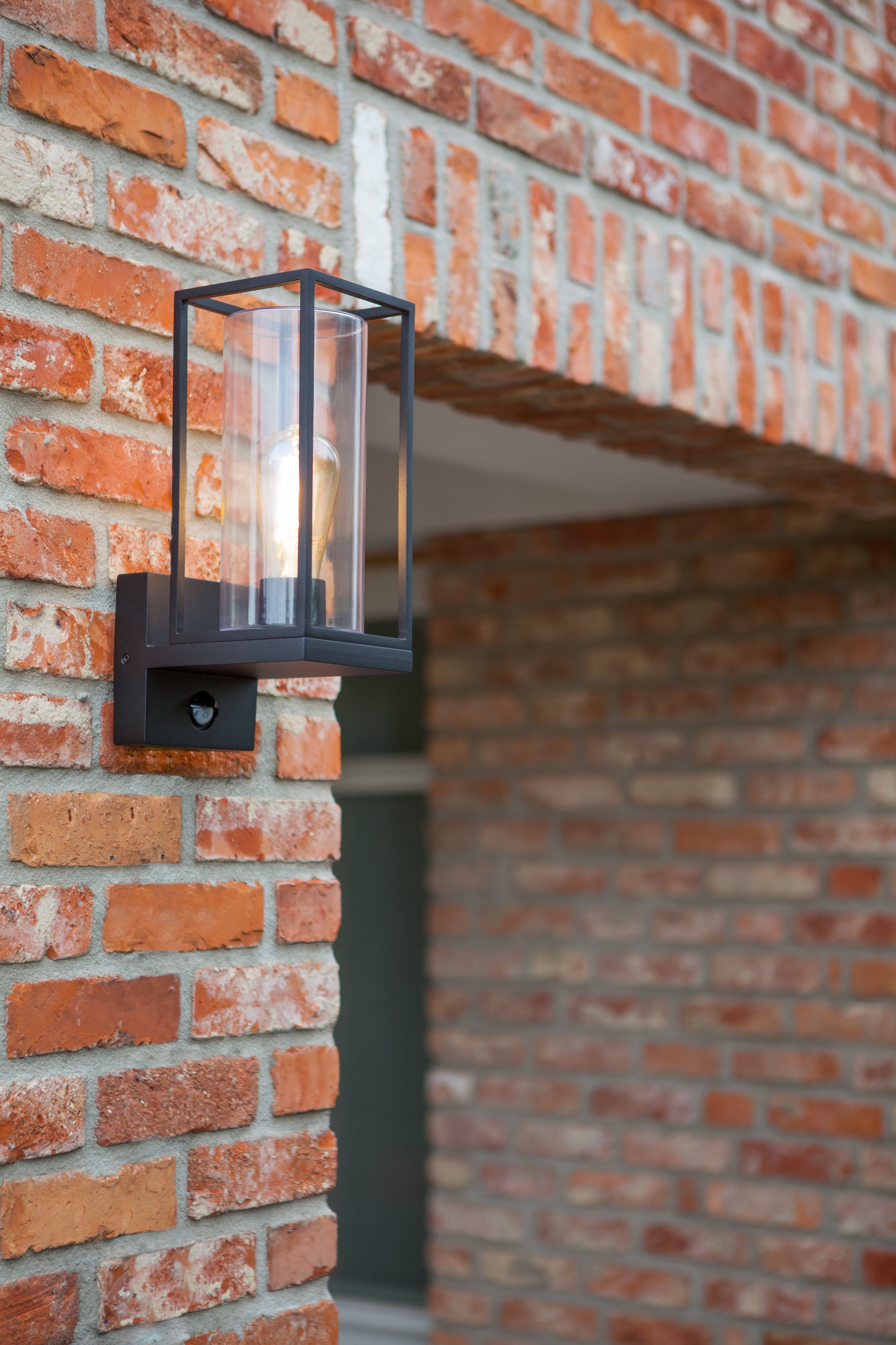 Lutec Flair Lantern Outdoor Wall Light 5288802012