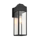 Lightologist Matt black & clear glass Non automatic Wall Light WIN1395946