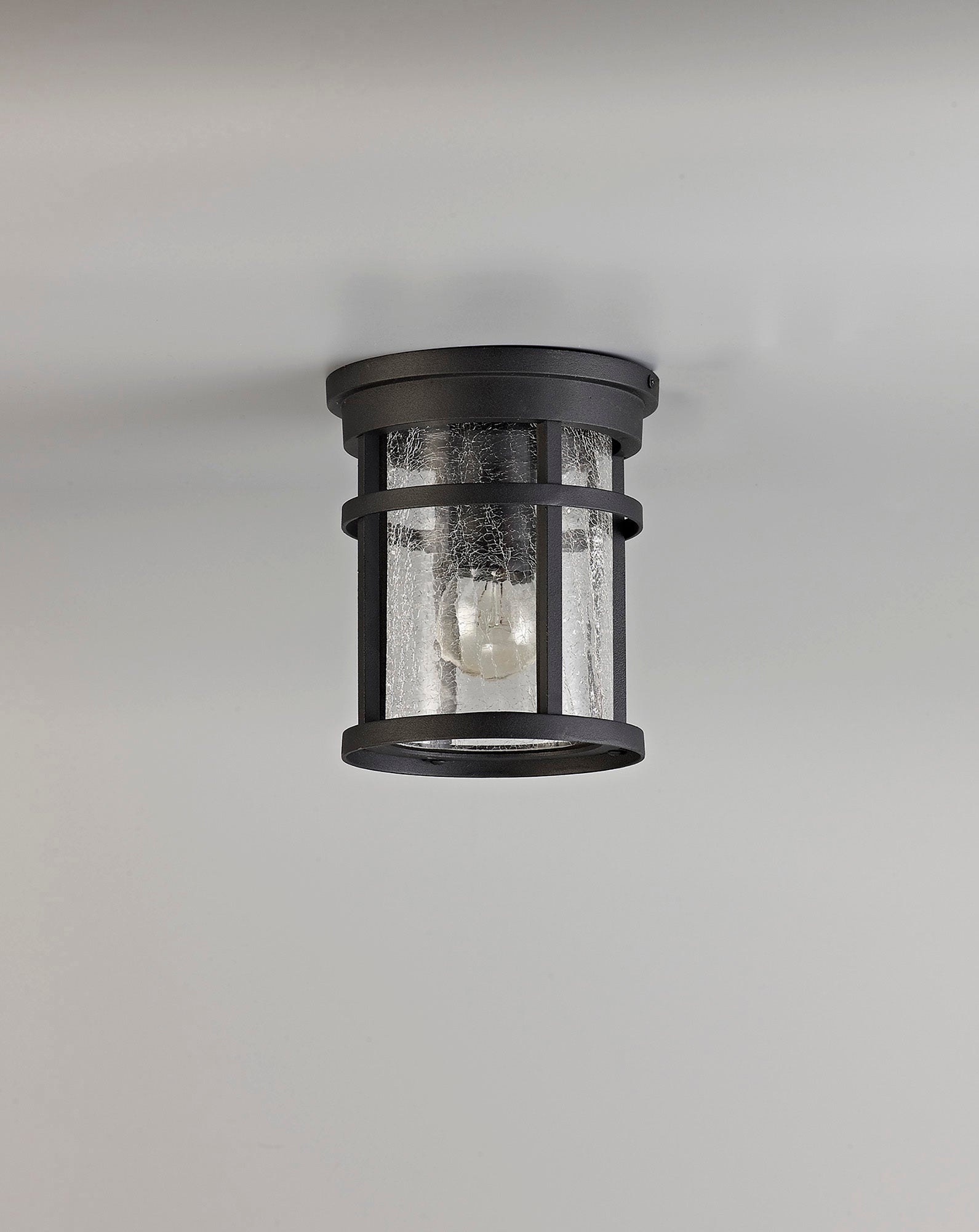 Elliot Outdoor Ceiling, 1 x E27, Black/Clear Crackled Glass, IP54, 2yrs Warranty LO173193
